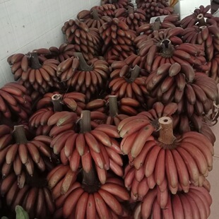 海南农家咖啡香蕉