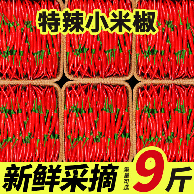 小米辣椒新鲜5斤特辣小米椒朝天椒超辣薄皮土红辣椒指天椒尖椒10