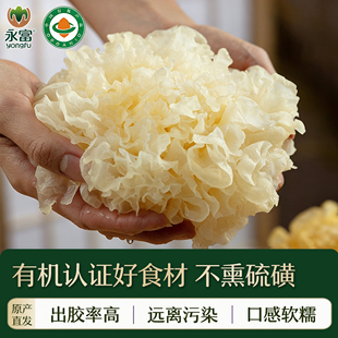 【有机认证】永富 银耳无硫熏糯耳白木耳雪耳银耳羹不掺不熏硫磺