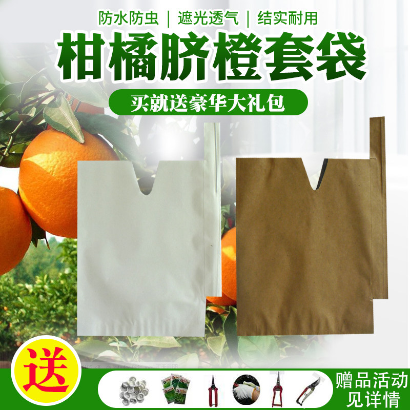 桃子袋柑橘脐橙丑橘水果套袋防水