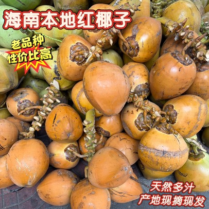 海南特产本地红椰子产地现摘现发当季水果孕妇带皮新鲜椰青9个装6