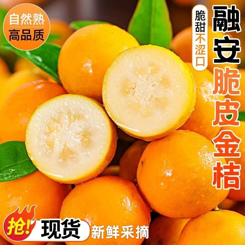 正宗广西融安脆皮金桔纯甜新鲜水果脆甜小金桔橘子大果现摘现发