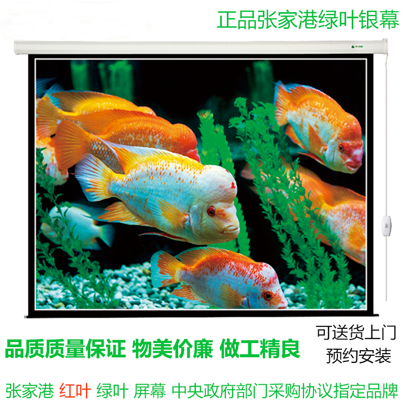 正品张家港绿叶幕布100寸4:3电动幕布玻珠白塑幕投影幕布投影仪幕布