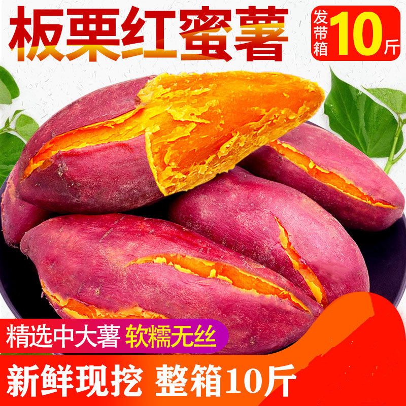 农产品直销土特产农家地瓜红薯新鲜生的10斤密薯板粟红薯种薯糖心