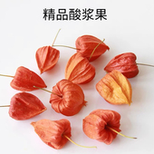 酸浆果精品手工材料包果实龙枣枝配果永生灯笼果红果干花家居装 饰