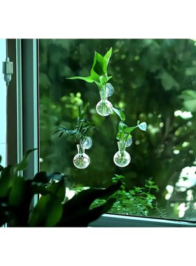 2 mini wall mounted plant propagation bottles. Modern circul