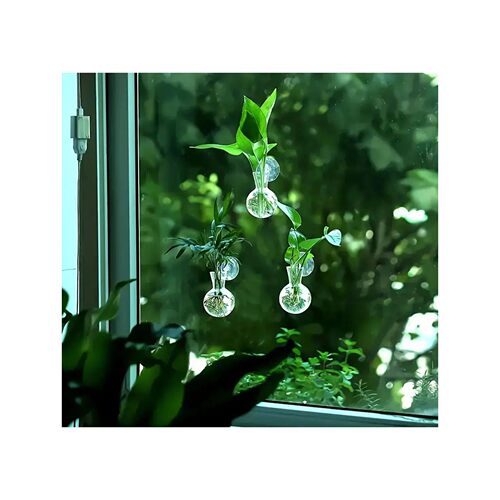 2 mini wall mounted plant propagation bottles. Modern circul