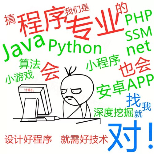 python程序开发JAVA安卓app软件代做ASP.NET网站C#代码编程设计