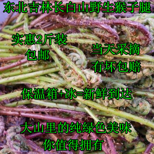 长白山新鲜包邮东北野生1000g
