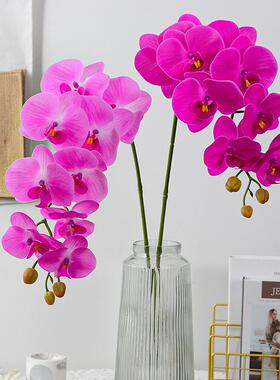 High-quality masquerading, nine butterflies table and a flow