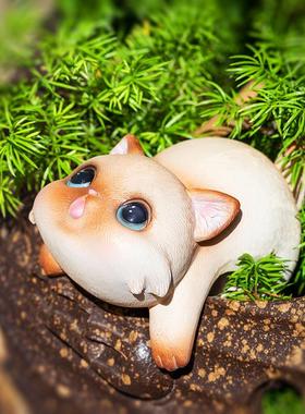 Its a creative viewing set up by the cute little catfish ta