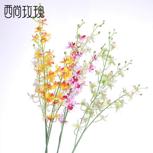 Its like a real orchid with a butterfly orchid living room