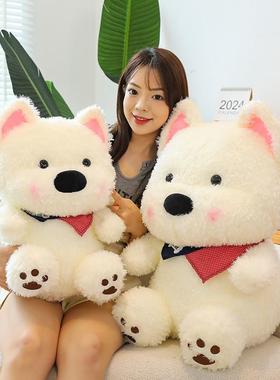 Its a gift for a cute, cute little white dog boy with a hai