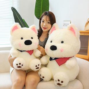 white hai gift with boy dog little cute for Its