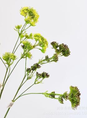 Its like a lesbian, a high-quality, high-quality hand-to-ha