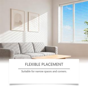 living room traps. cleans Kitchen corner Roach bedroom