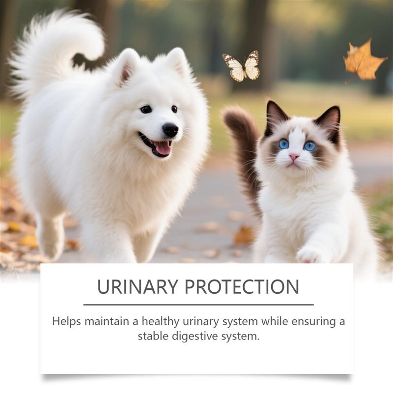 Puppet herbs tend to the oral fluids, warm and puppies are c