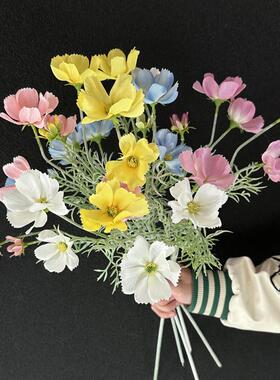 Its a Nordic stylish little Persian daisy, and its a fake