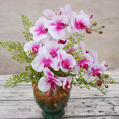 Its like a real butterfly orchid with a single sense of sev