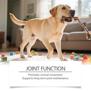 Dog joints take care of soft particles, warm formulas are co