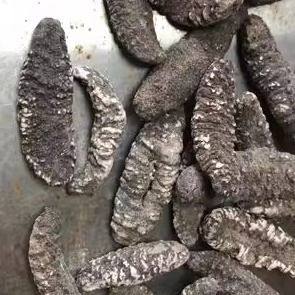 海参雪参米刺参疙瘩刺海参带白灰雪参进R口海参建栋海参