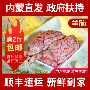 羊脑新鲜内蒙古羊肉火锅食材羊杂脑髓草原绵羊羔羊肉清真羊脑现杀