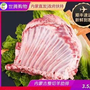 新鲜内蒙草原羔羊肉清真羊肉羊排散养羔羊肉烧烤食材烤羊排