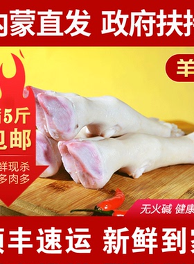 内蒙古羊肉羊蹄新鲜食材清真羊蹄炖羊肉烤羊蹄内蒙直发品质保证