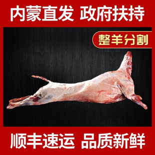 内蒙古清真羊肉 新鲜全羊 整羊30斤 整只发货 精品切割现杀