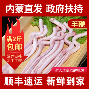 内蒙古羊鞭新鲜食品清真羊肉烧烤煲汤爆炒大补草原直发品质保证