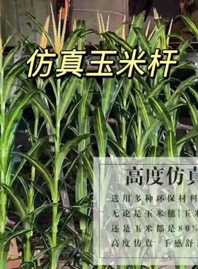 仿真玉米树假玉米杆田园植物造景展厅装饰博物馆摆放拍摄玉米道具