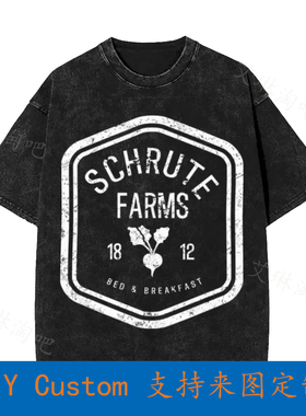 Schrute Farms Bed And Breakfast Vintage Oversized T-Shirt YU
