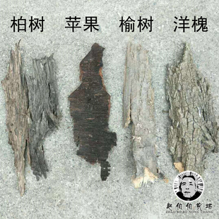 桑树皮 橡树松树槐树桐树榆树柏树杨树构树皮柳树等多种试验基料