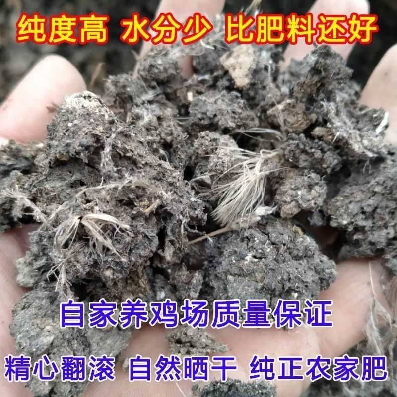 纯干鸡粪肥有机肥瓜果蔬