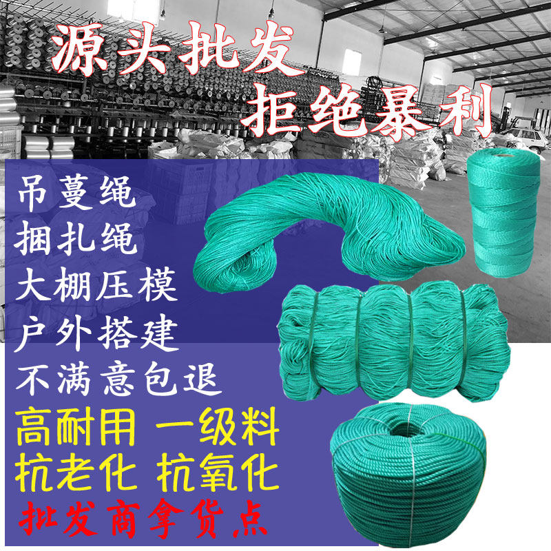 绳子吊秧绳爬藤网拉绳吊蔓绳户外绳尼龙绳农用生产用绳打草绳直邮