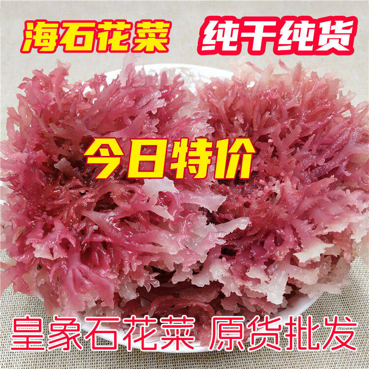 纯干海石花菜红石花血珊瑚海燕窝凉拌菜鹿角麒麟菜精品原货干货