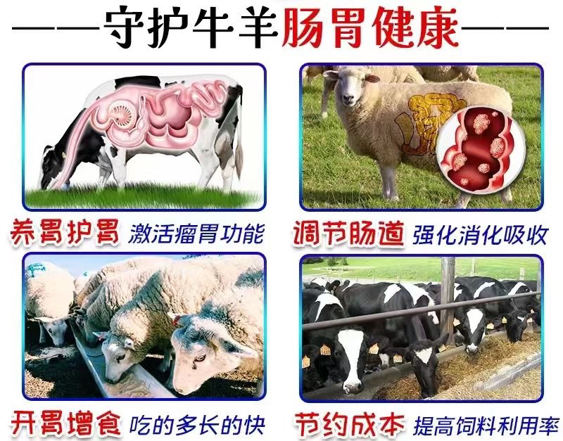 牛羊反刍宝牛胀气积食过料牛用健胃散促消化兽用饲料添加剂益生菌