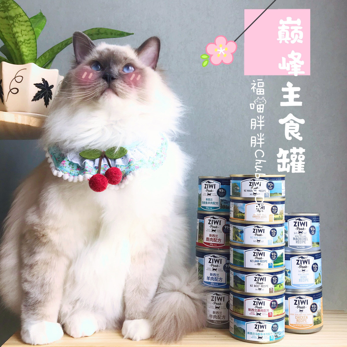 新西兰ziwipeak滋益巅峰猫罐头纯鲜肉无谷湿粮主食罐85g 185g