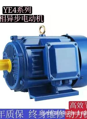 YE4高效节能0.75/1.1/2.2/3/4/5.5/7.5/22/15/110w4极三相电动机