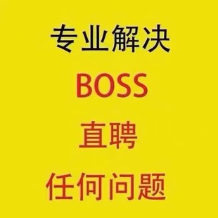 boss直聘技术招聘咨询等综合指导