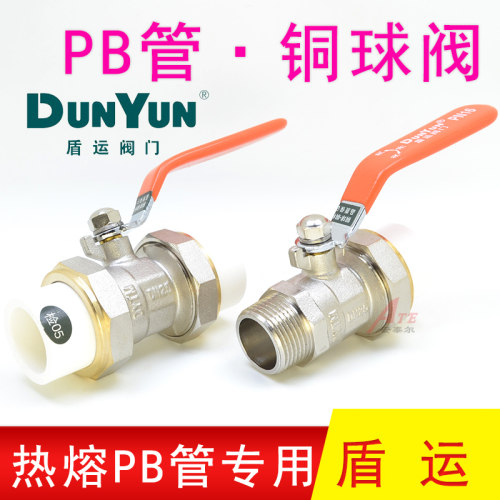 DYTM阀门4分双活接热熔球阀PB管