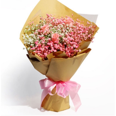 南京秦淮区新街口瑞金路苜蓿园升州路集庆路鲜花店母亲节速递玫瑰