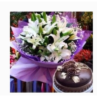 新化县上梅镇石冲口镇洋溪镇槎溪镇母亲节鲜花店配送情人节玫瑰