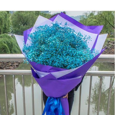 福建马尾区江滨锦城君竹路闽侯县新西客站鲜花店母亲节速递玫瑰