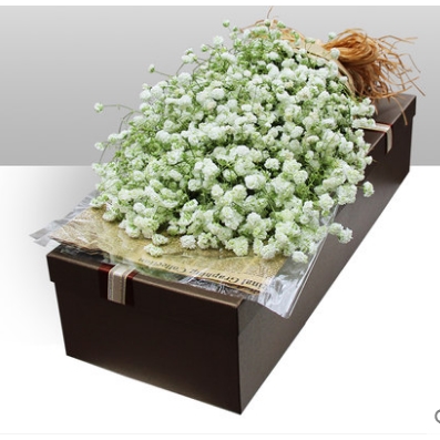 南京玄武区后宰门新街口德基广场仙鹤门鲜花店母亲节速递玫瑰花束