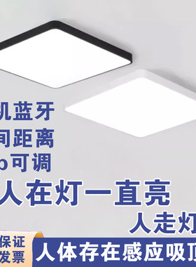 人体存在雷达人体感应灯方形吸顶灯LED过道走廊灯楼梯楼道玄关灯