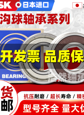 日本NSK进口轴承6200 6201 6202 6203 6204 6205 6206 DDU ZZ 2Z