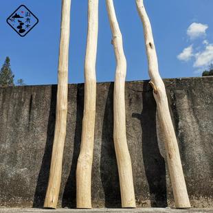 天然干树枝 装饰枯木原木树干客厅玄关干枝隔断茶室幼儿园背景墙