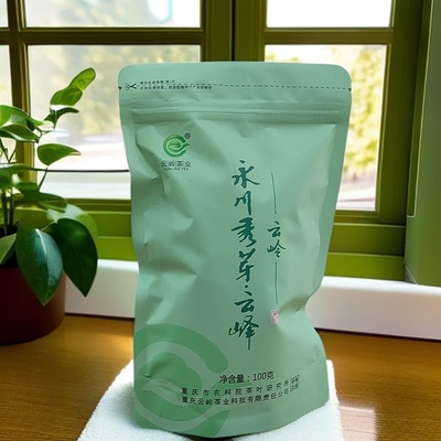 云岭永川秀芽云峰绿茶毛峰口粮茶