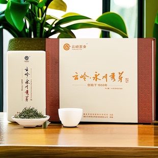 【新茶】云岭高端永川秀芽极川绿茶100g礼盒重庆特产毛峰明前茶叶